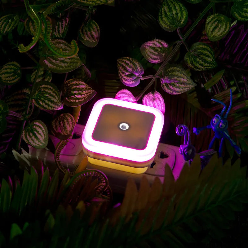 LED Plug-In Night Light with Auto Light Sensor