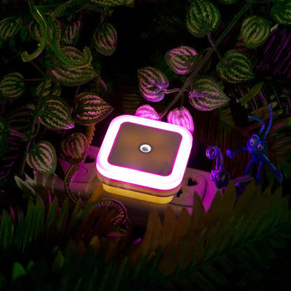 LED Plug-In Night Light with Auto Light Sensor