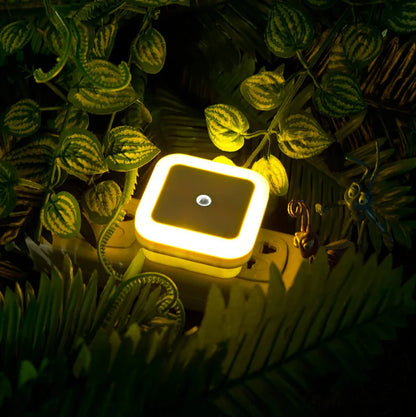 LED Plug-In Night Light with Auto Light Sensor