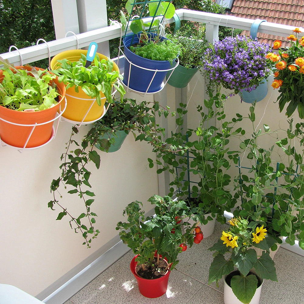 Balcony with various potted plants and flowers