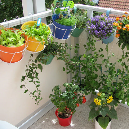 Balcony with various potted plants and flowers